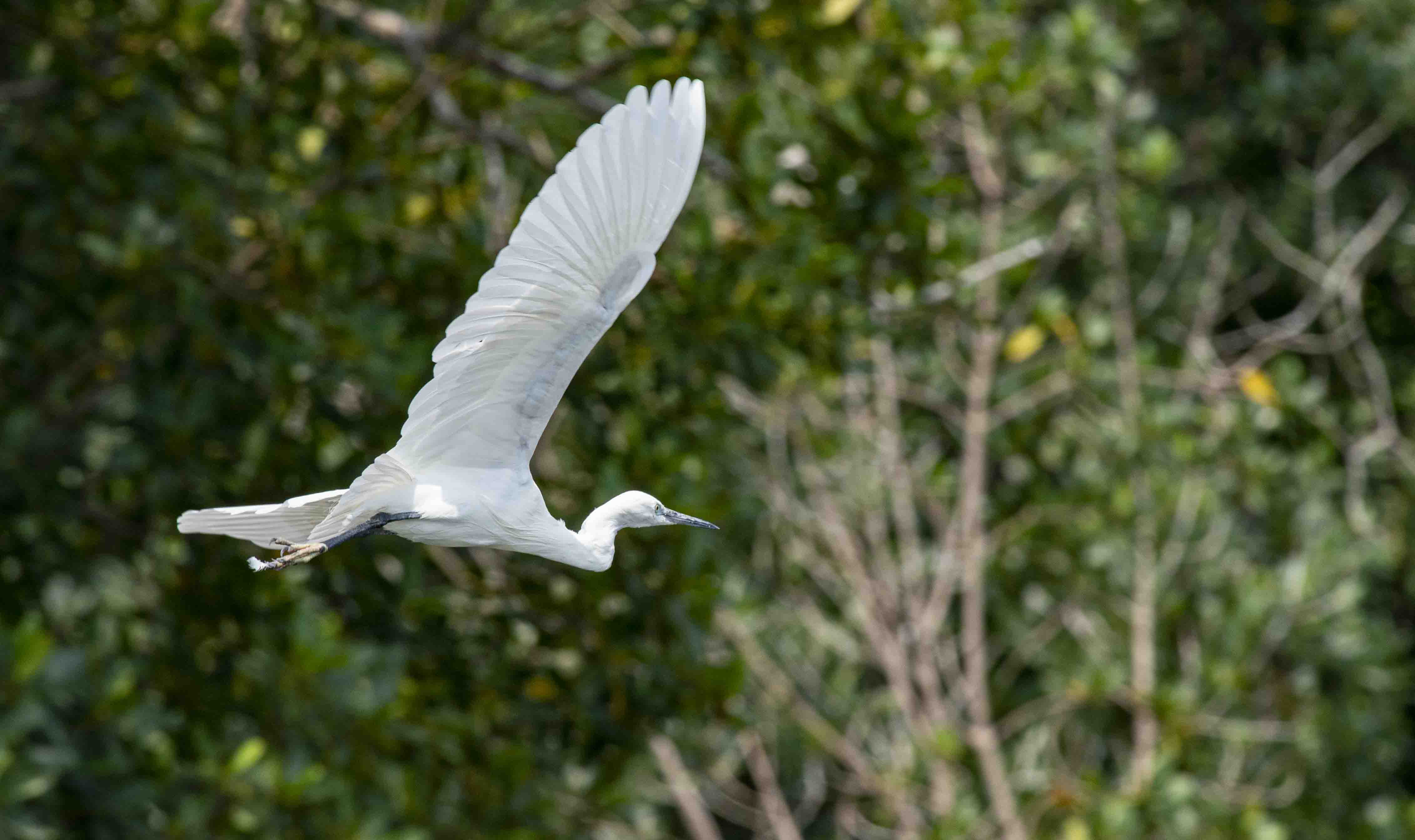 DISCOVER GABON NATIONAL PARK