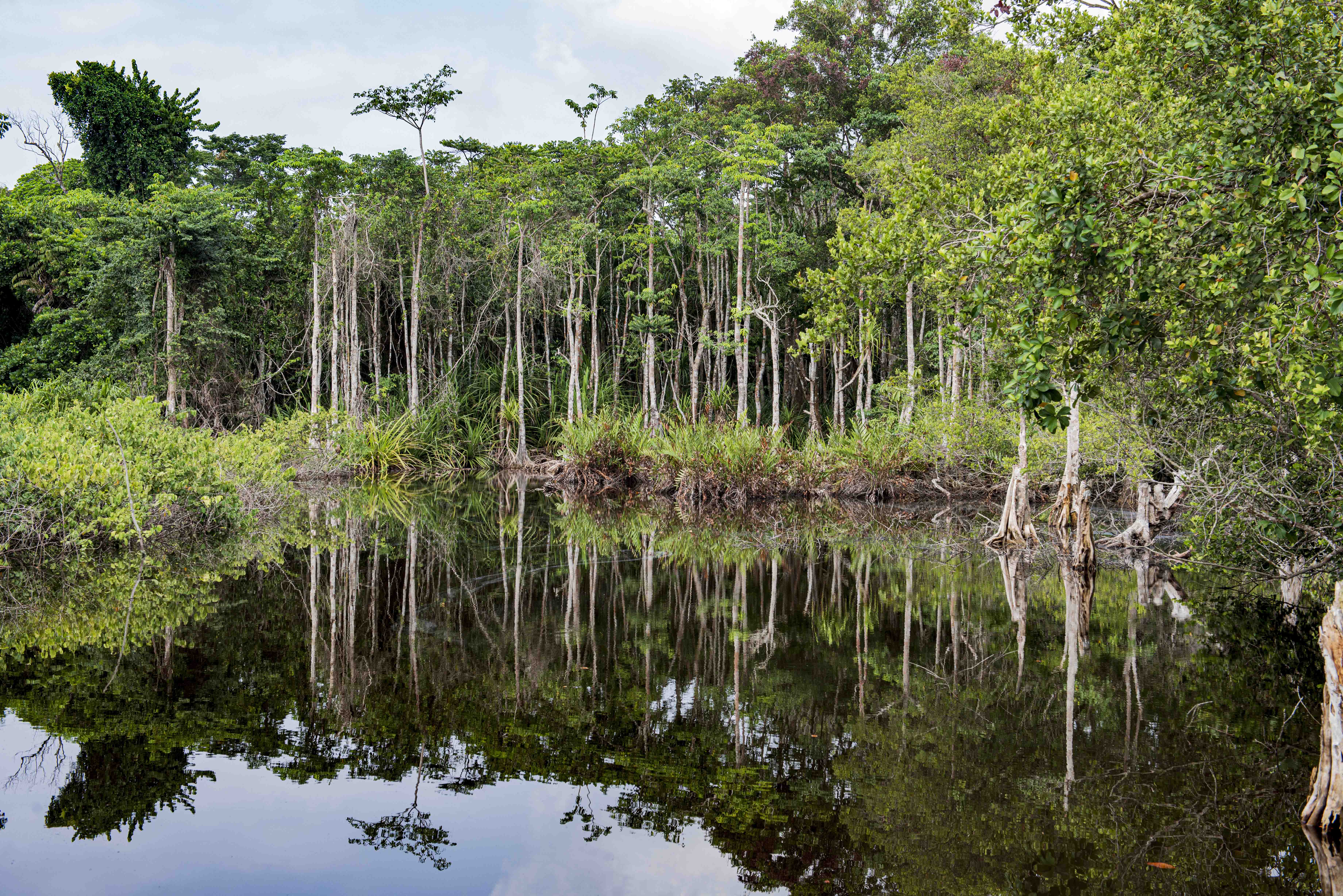 DISCOVER GABON NATIONAL PARK