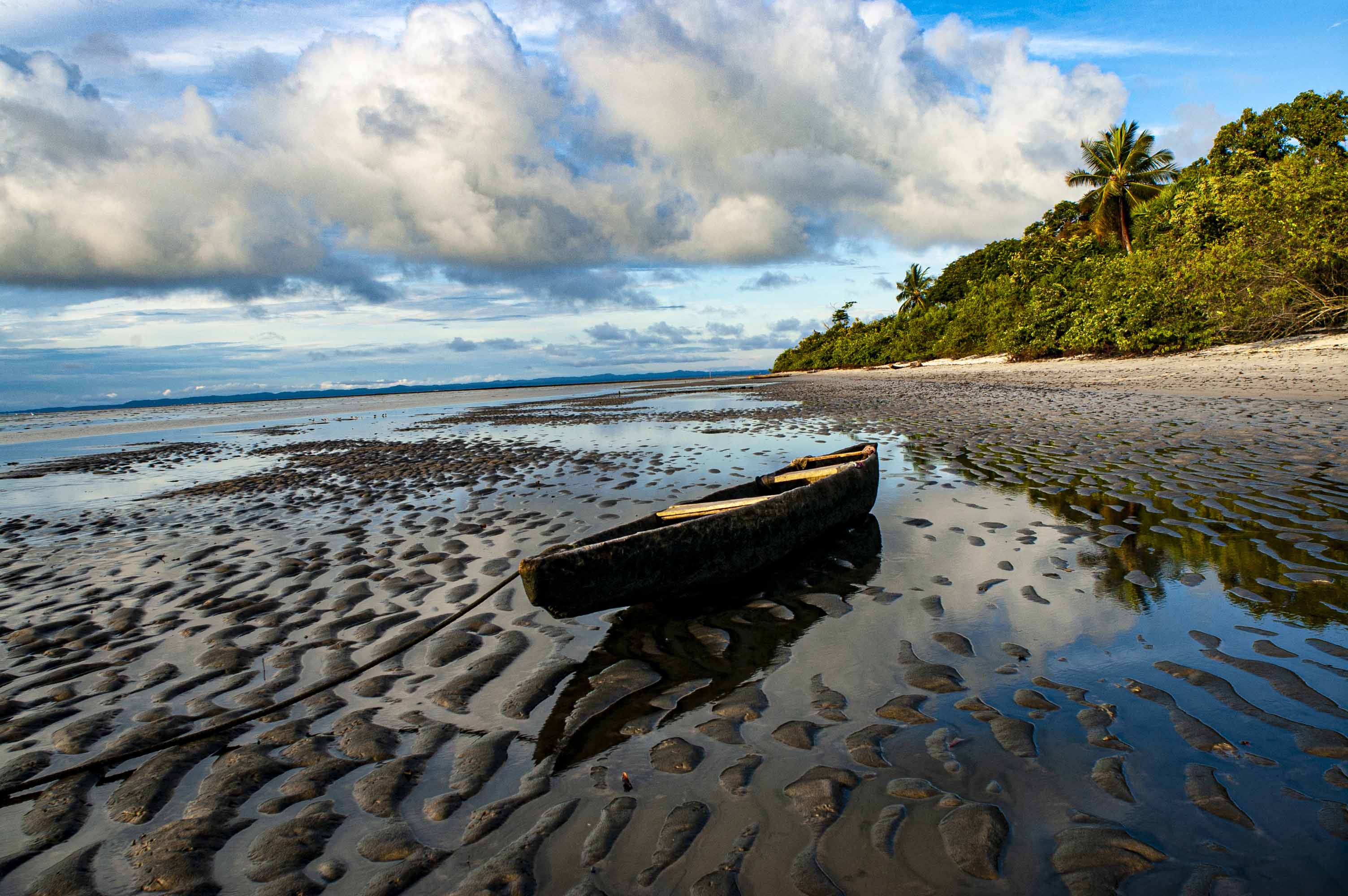 DISCOVER GABON NATIONAL PARK