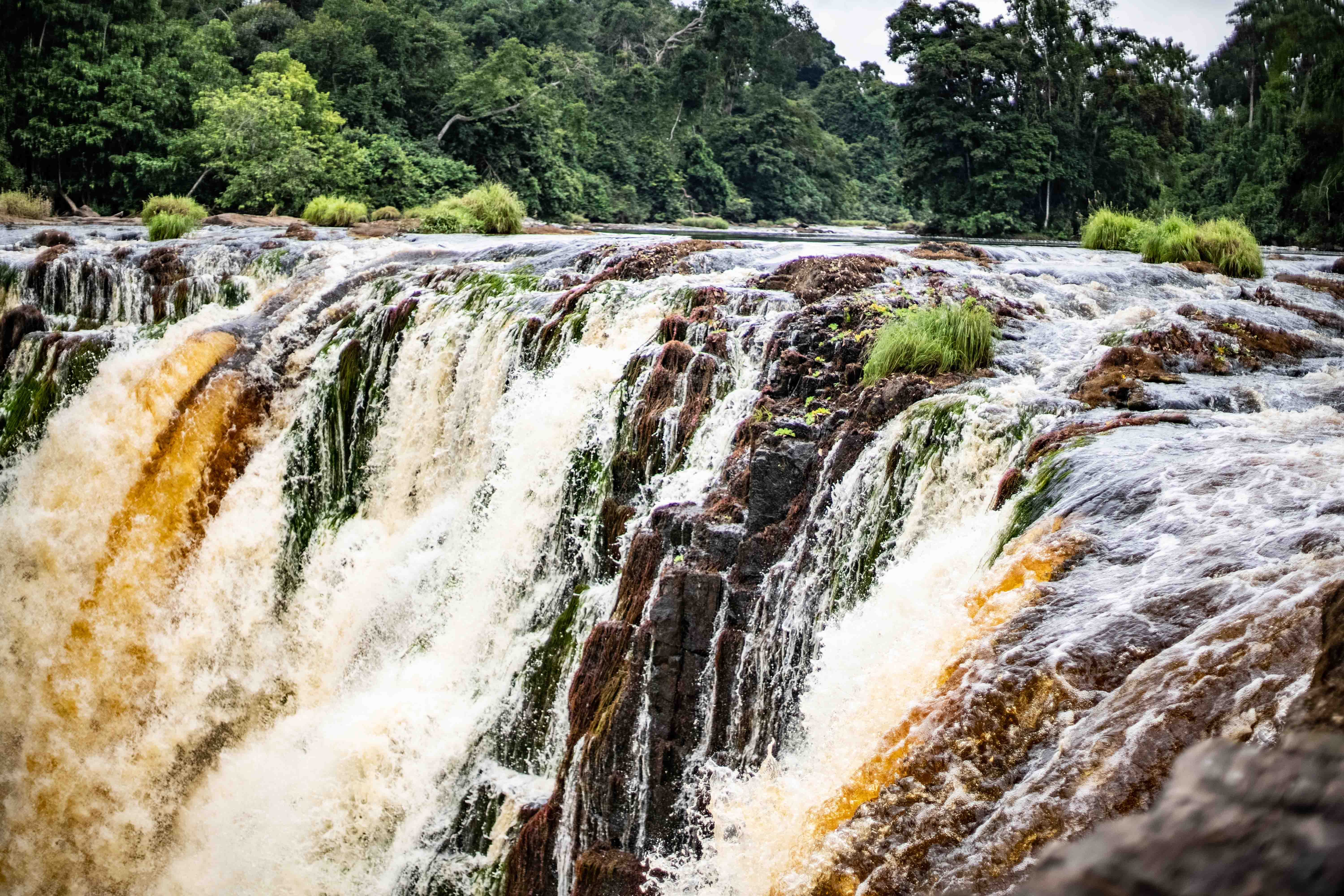 DISCOVER GABON NATIONAL PARK