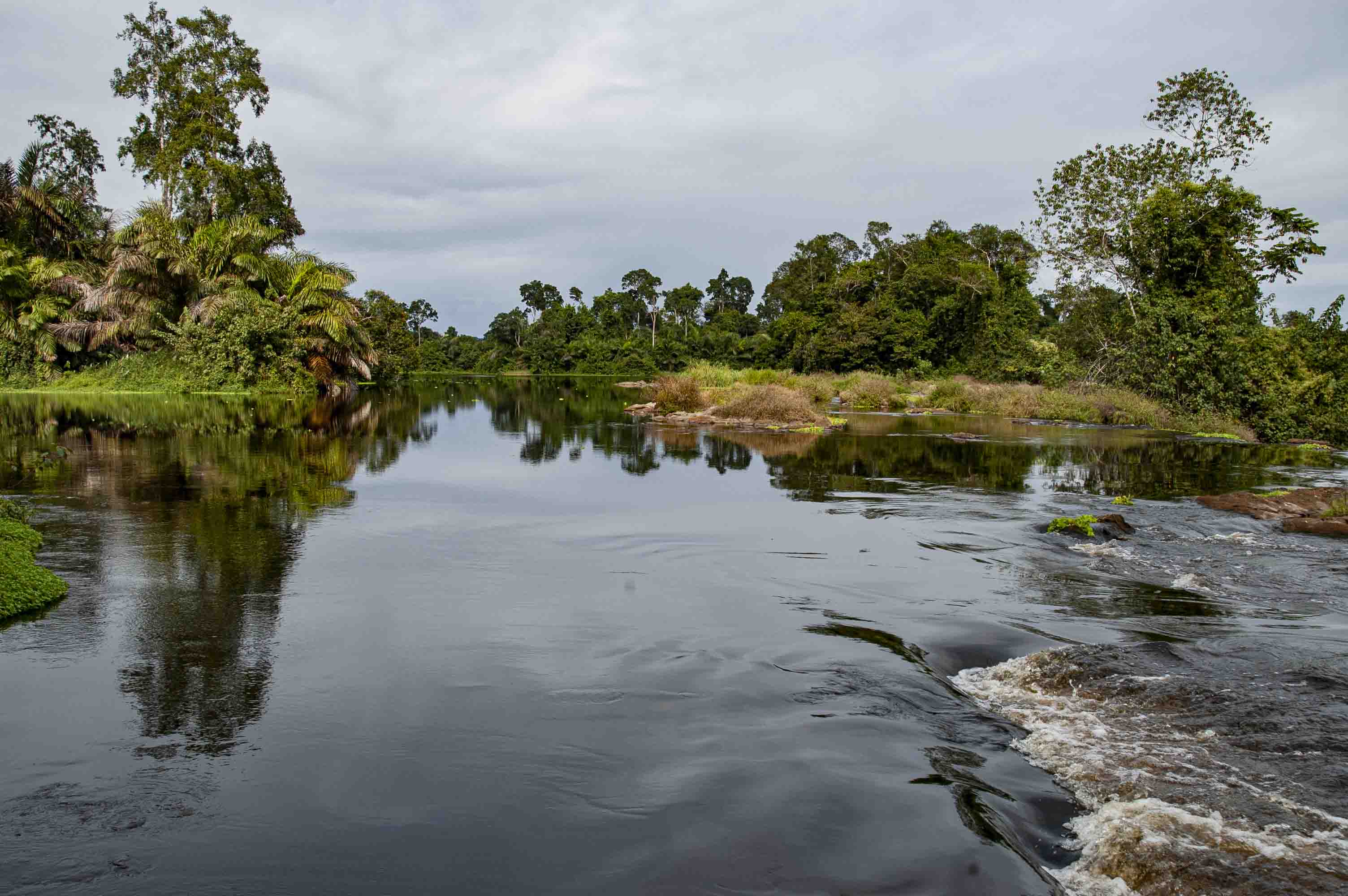 DISCOVER GABON NATIONAL PARK