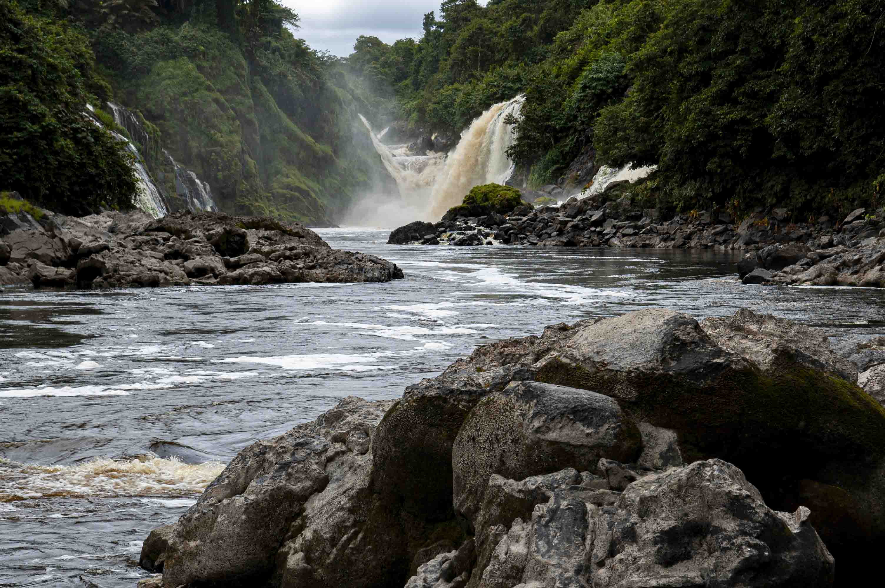 DISCOVER GABON NATIONAL PARK