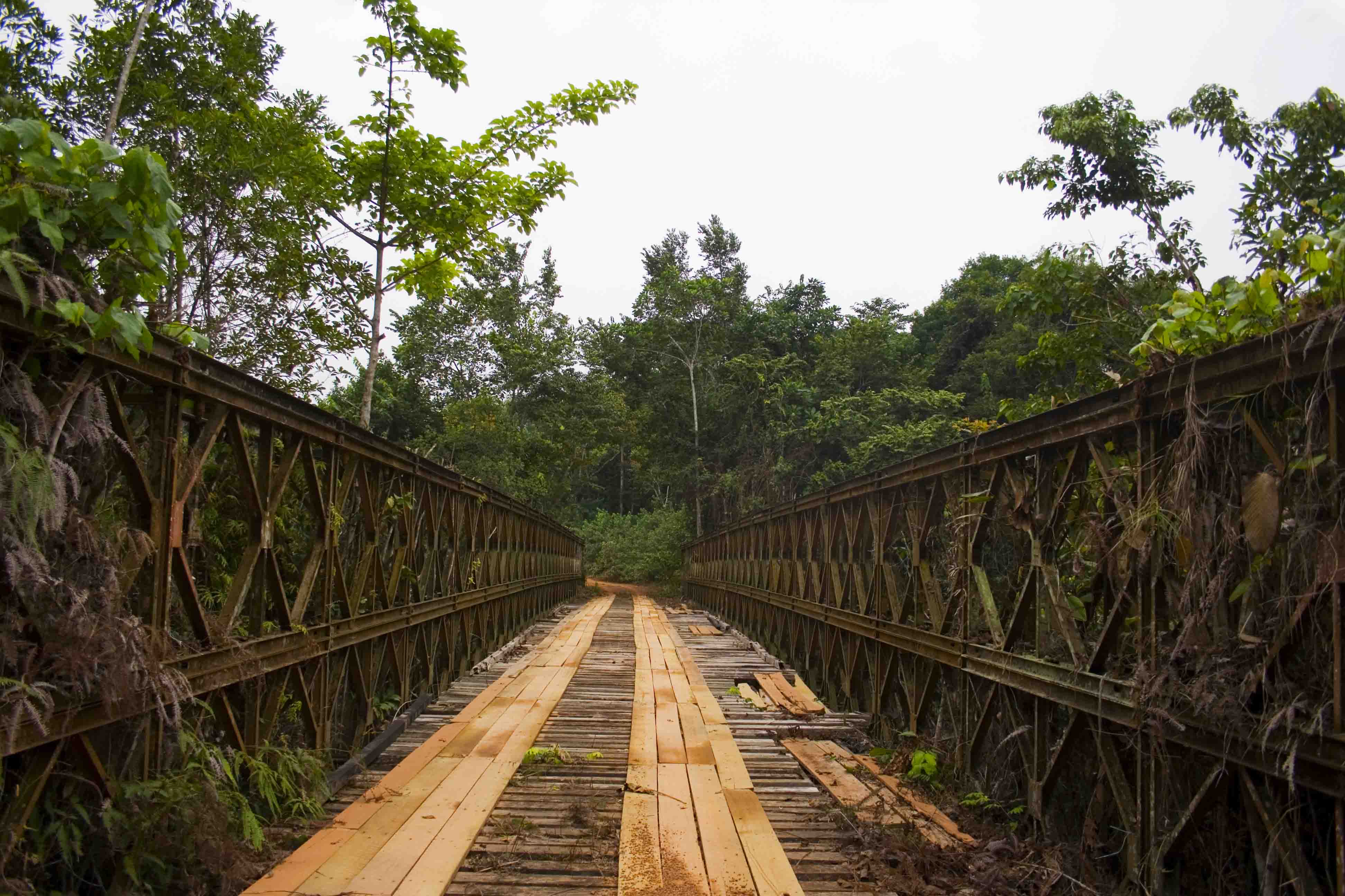 DISCOVER GABON NATIONAL PARK