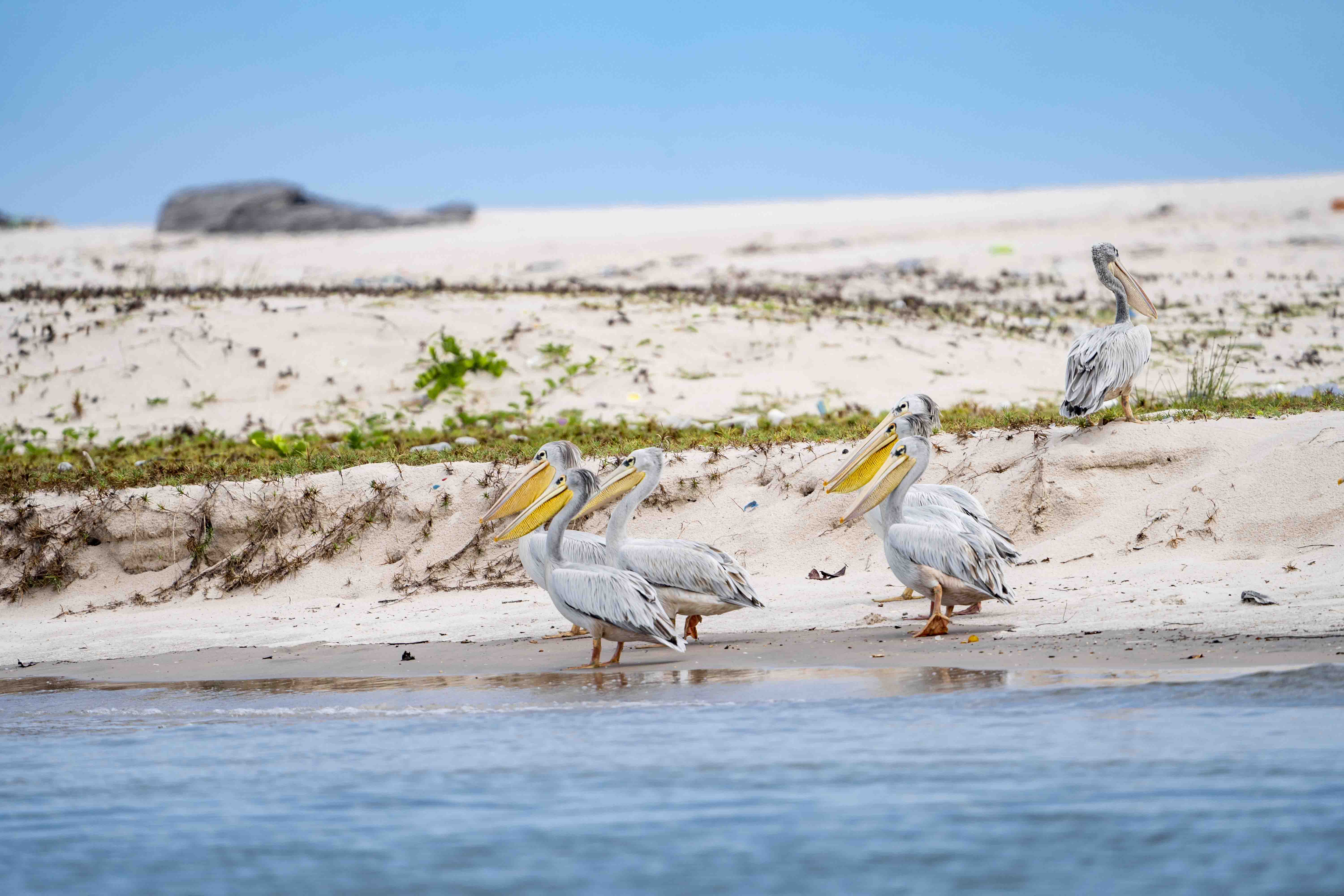 DISCOVER GABON NATIONAL PARK