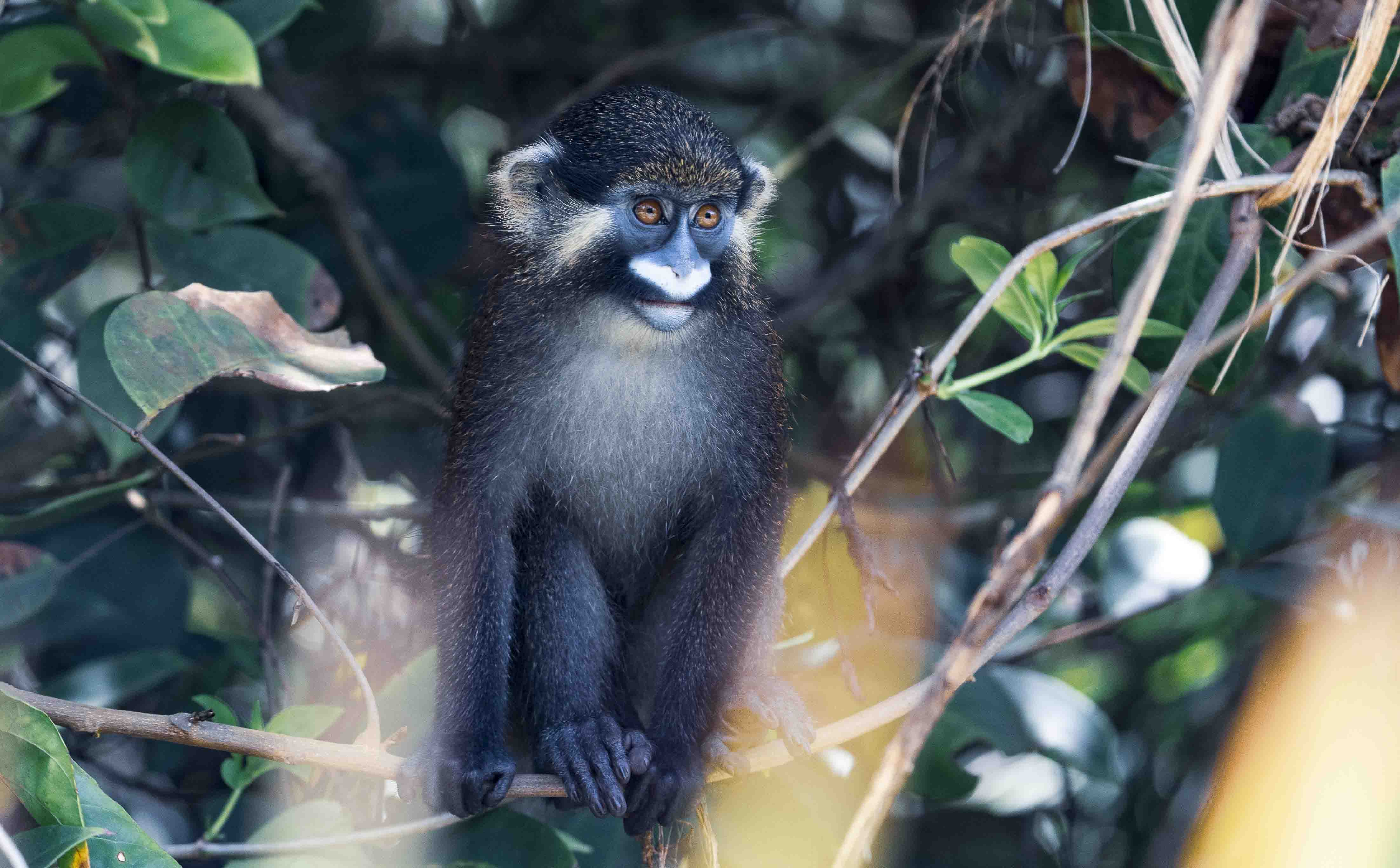 DISCOVER GABON NATIONAL PARK