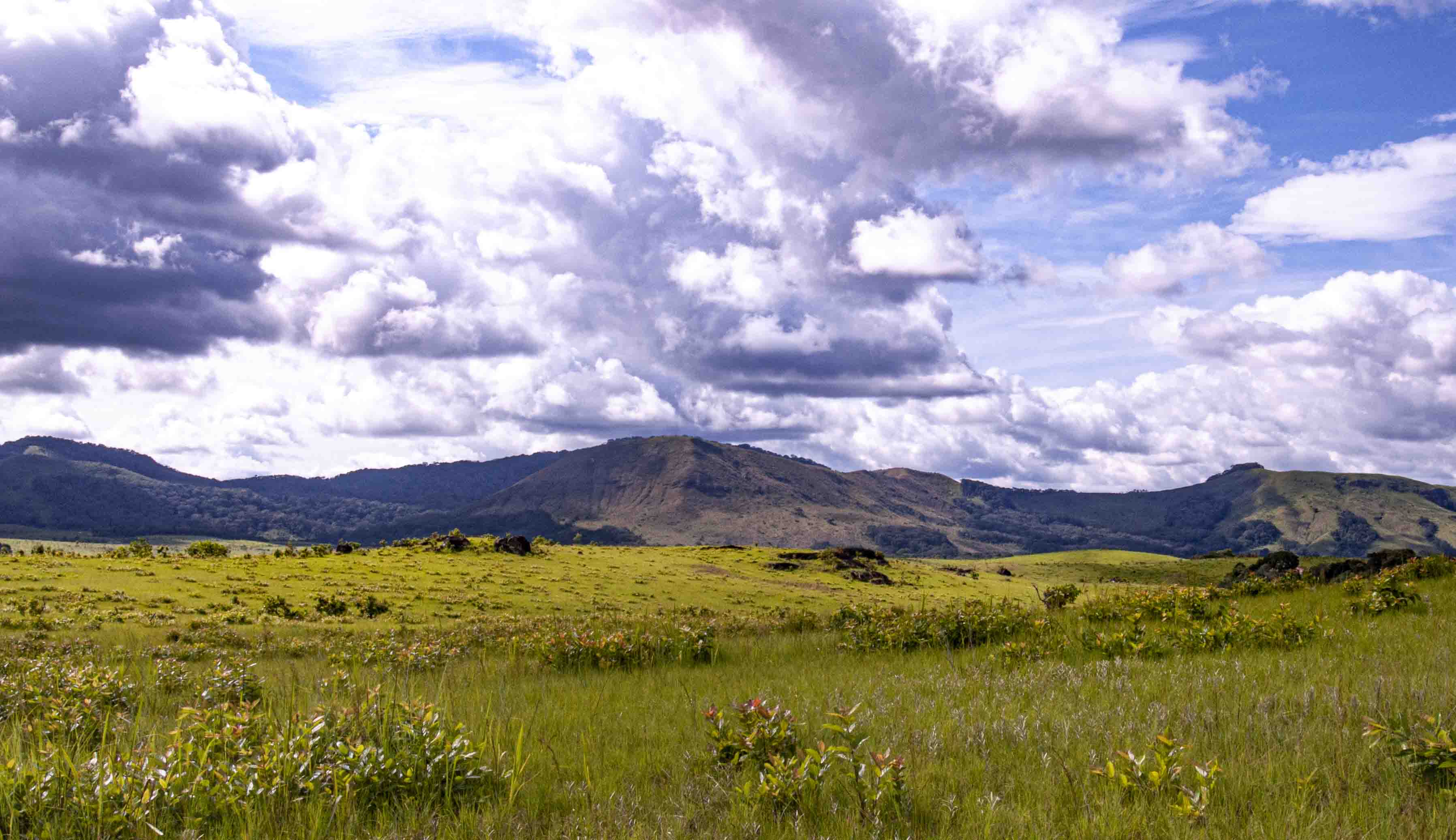 DISCOVER GABON NATIONAL PARK