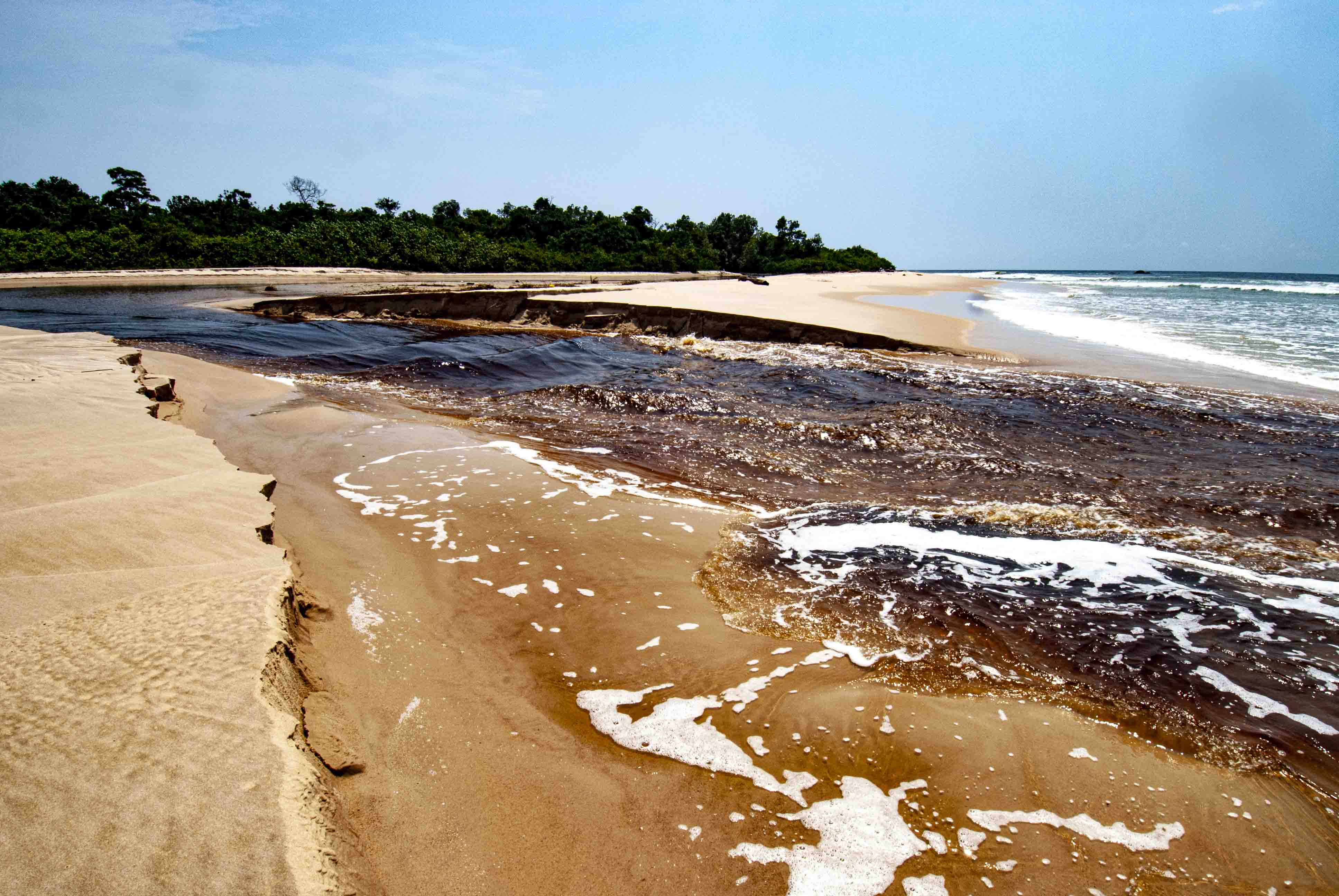 DISCOVER GABON NATIONAL PARK