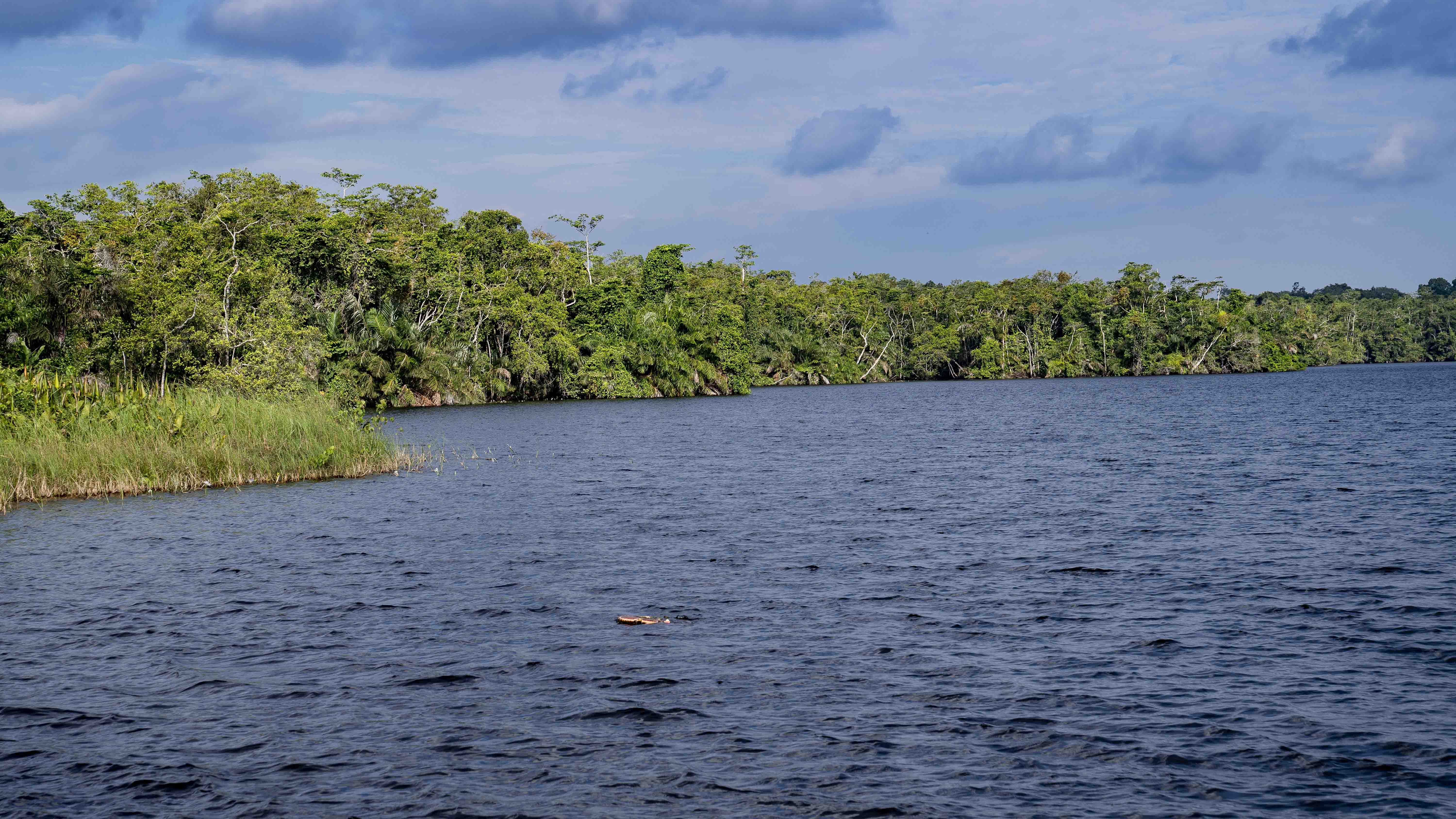 DISCOVER GABON NATIONAL PARK