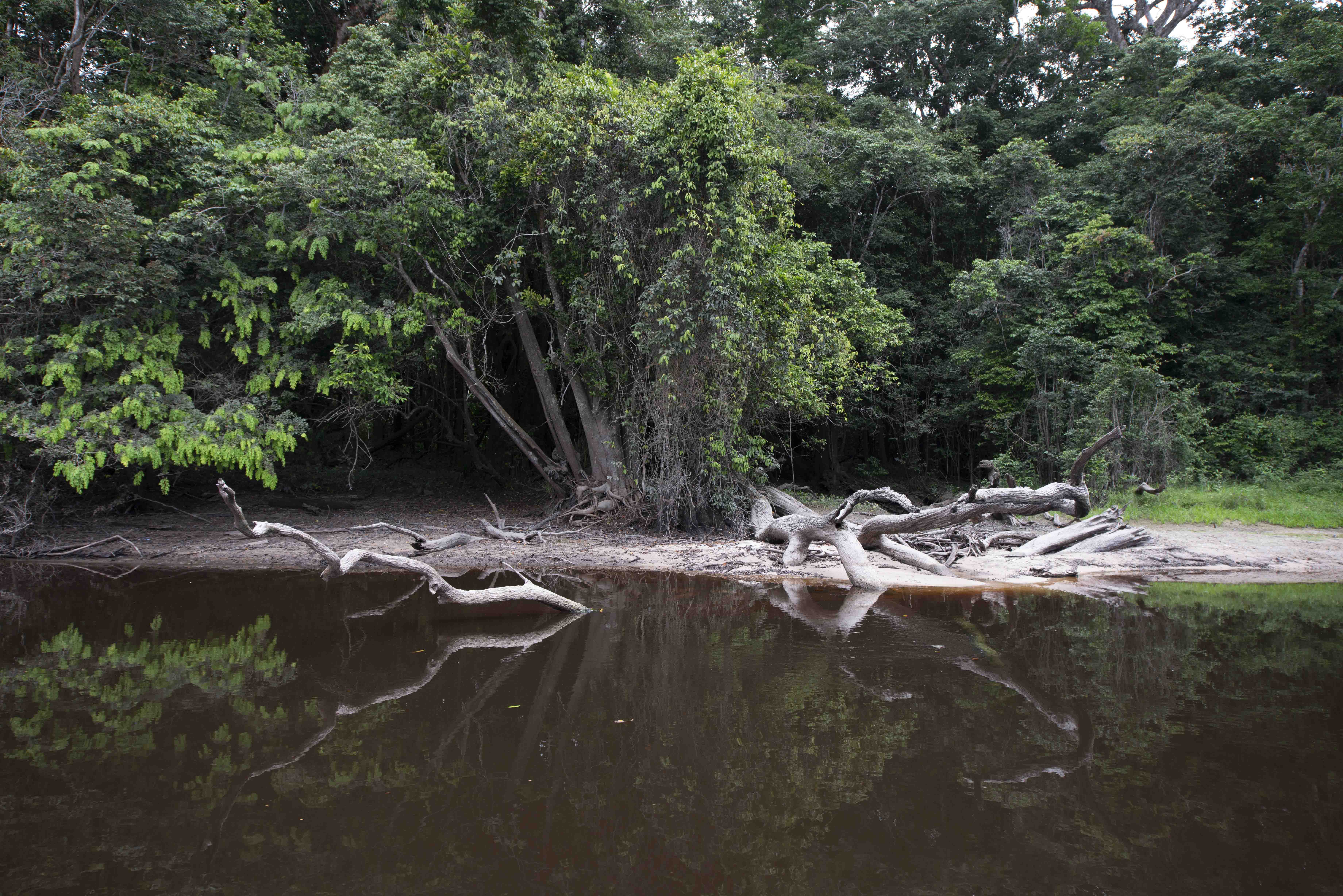 DISCOVER GABON NATIONAL PARK