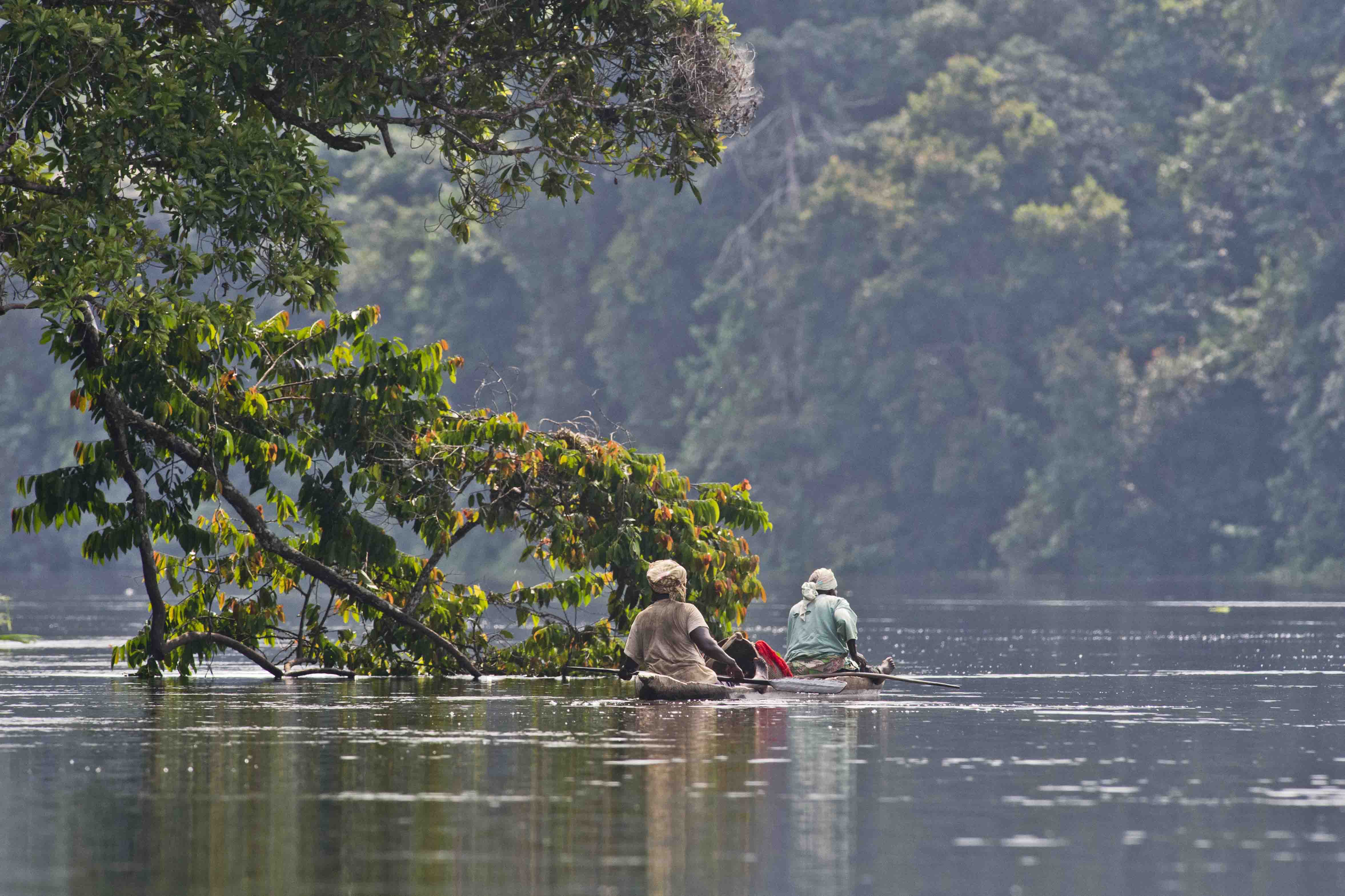 DISCOVER GABON NATIONAL PARK