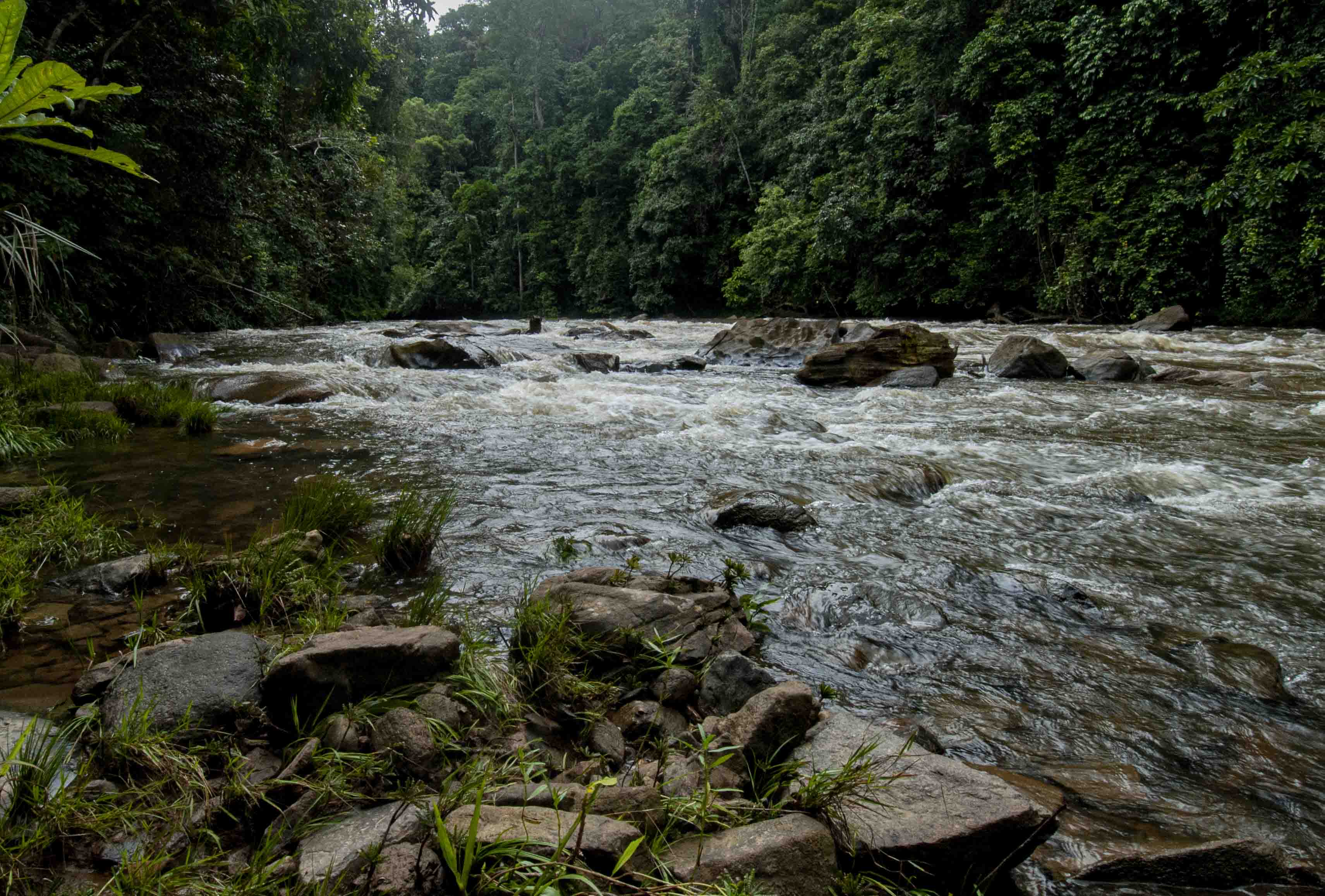 DISCOVER GABON NATIONAL PARK