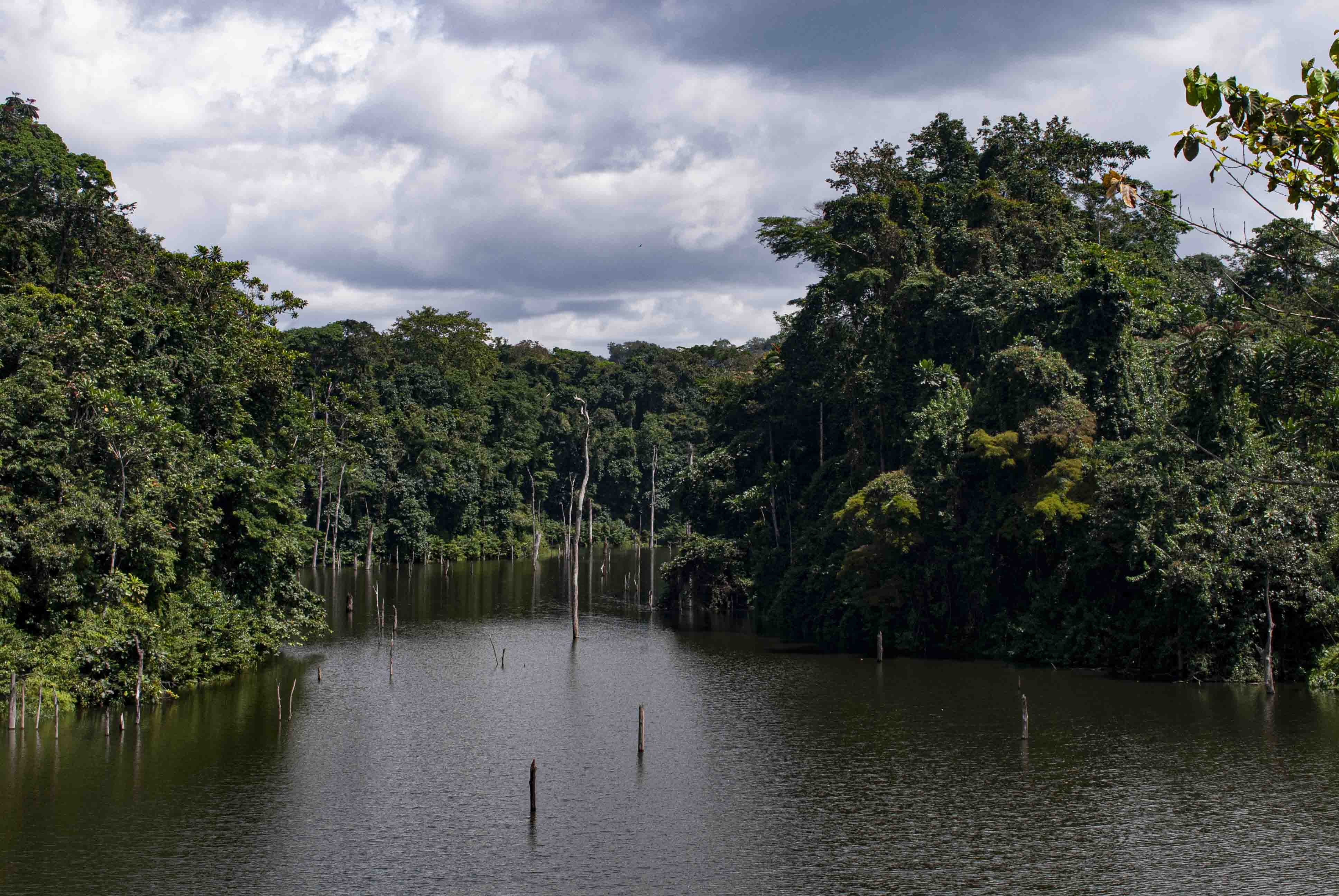 DISCOVER GABON NATIONAL PARK