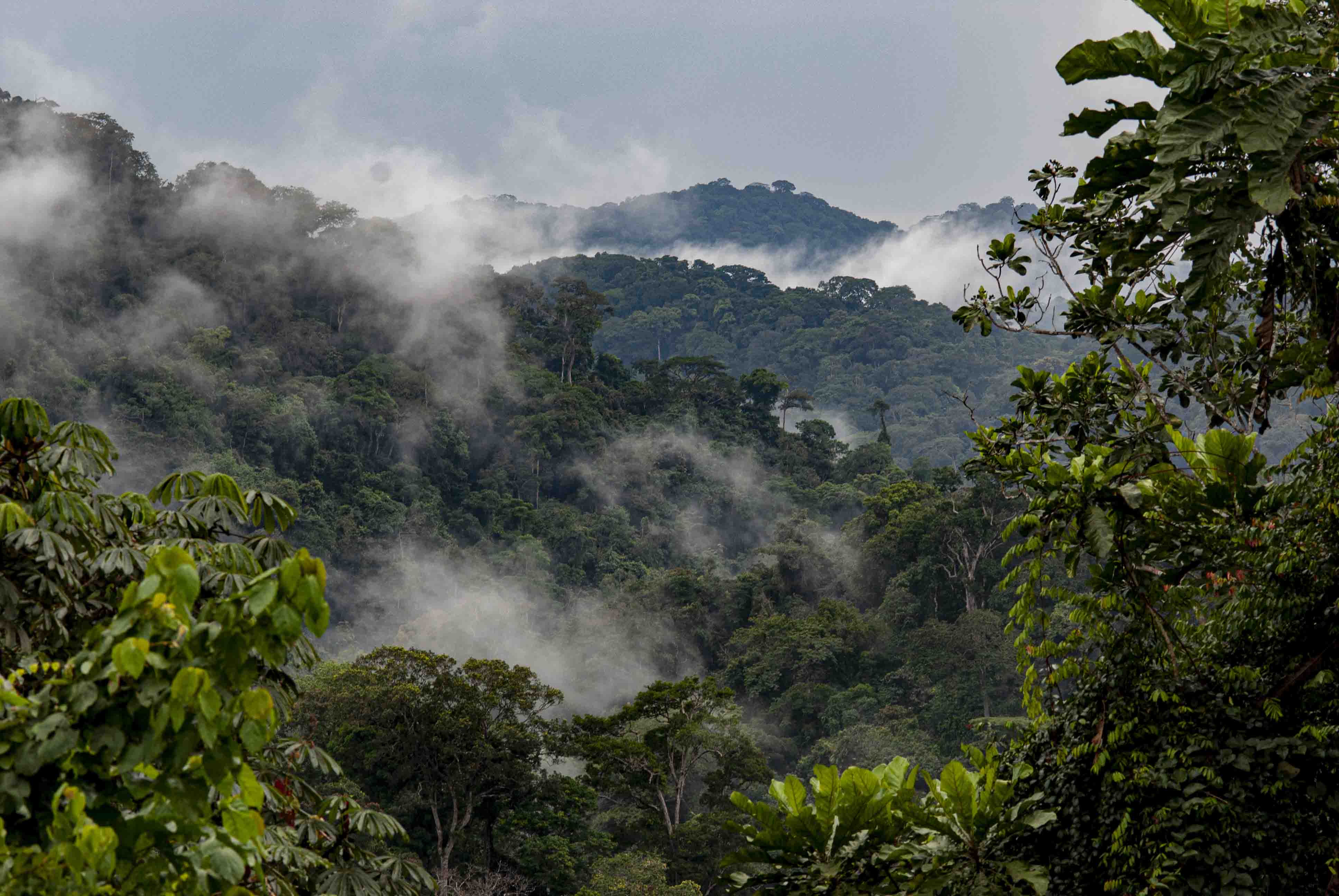 DISCOVER GABON NATIONAL PARK