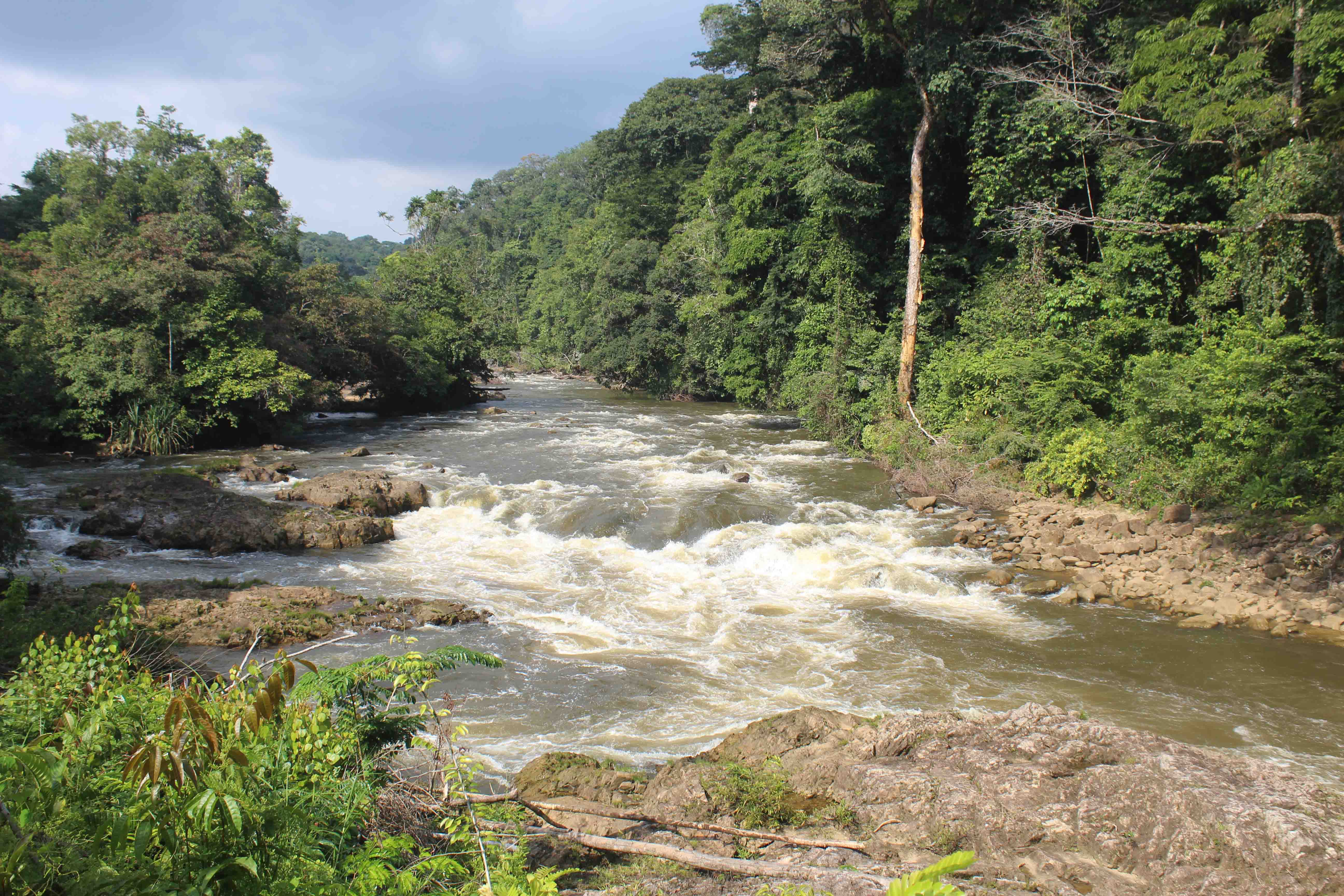 DISCOVER GABON NATIONAL PARK