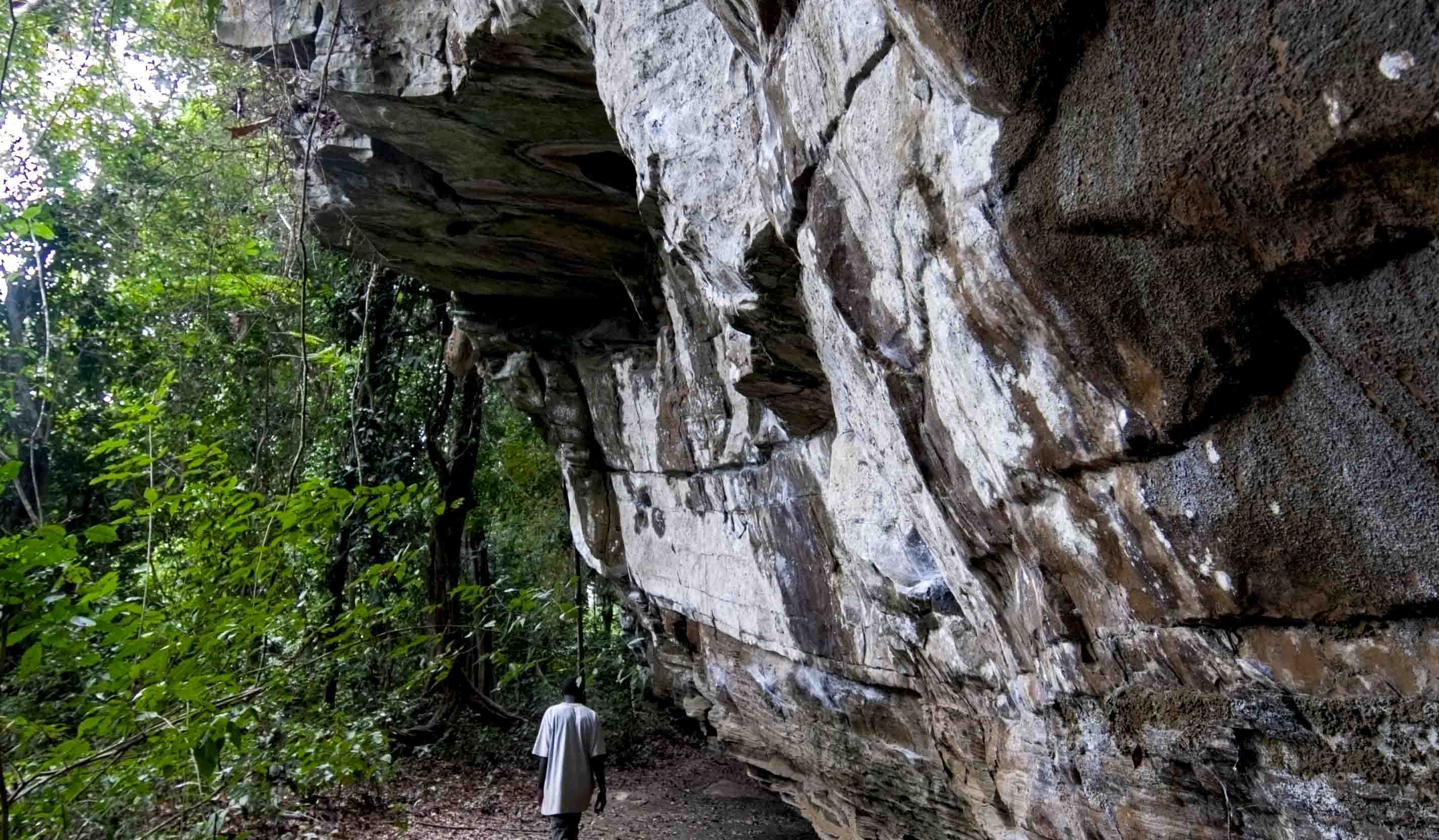 DISCOVER GABON NATIONAL PARK