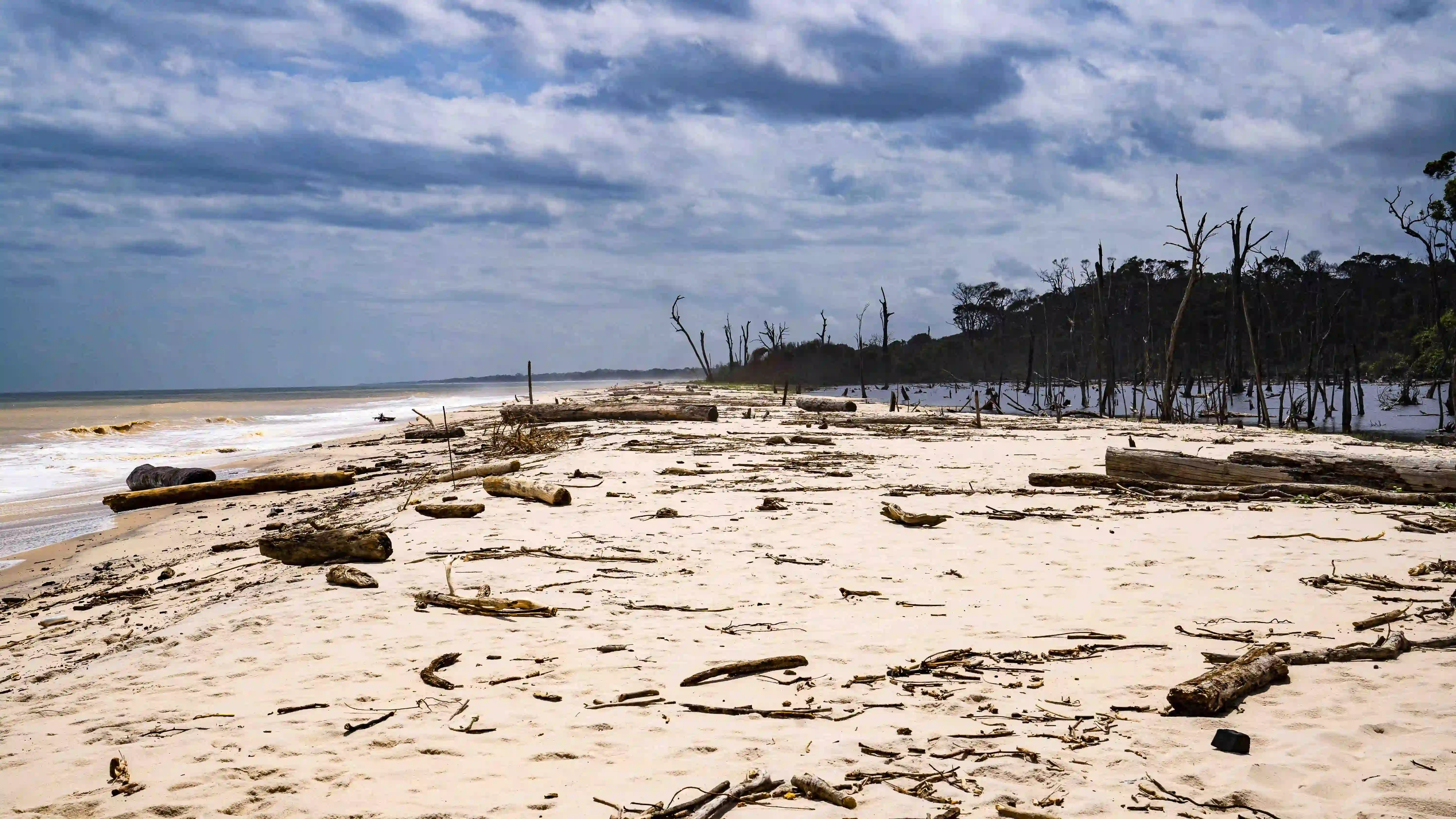 DISCOVER GABON NATIONAL PARK