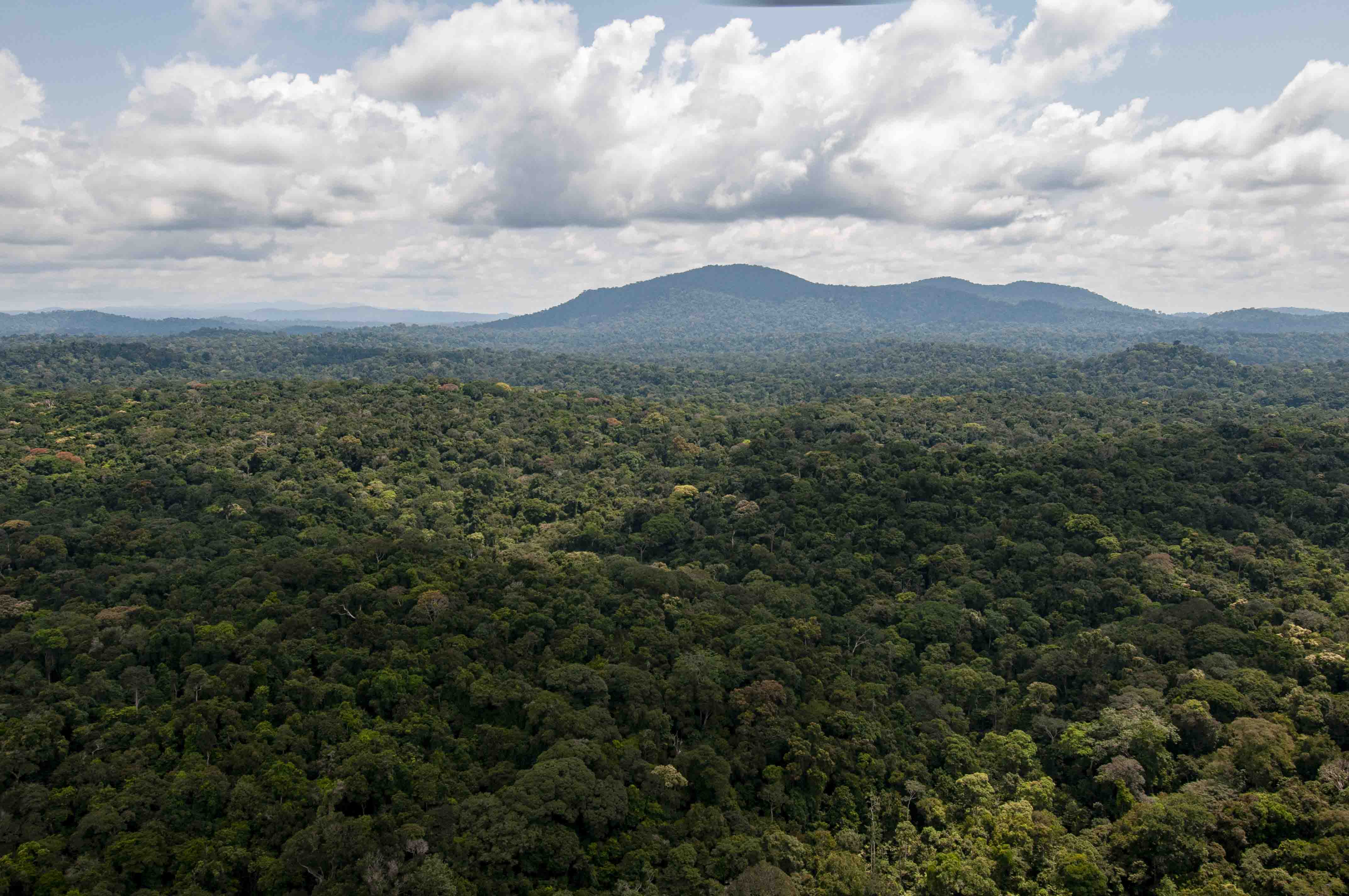 DISCOVER GABON NATIONAL PARK