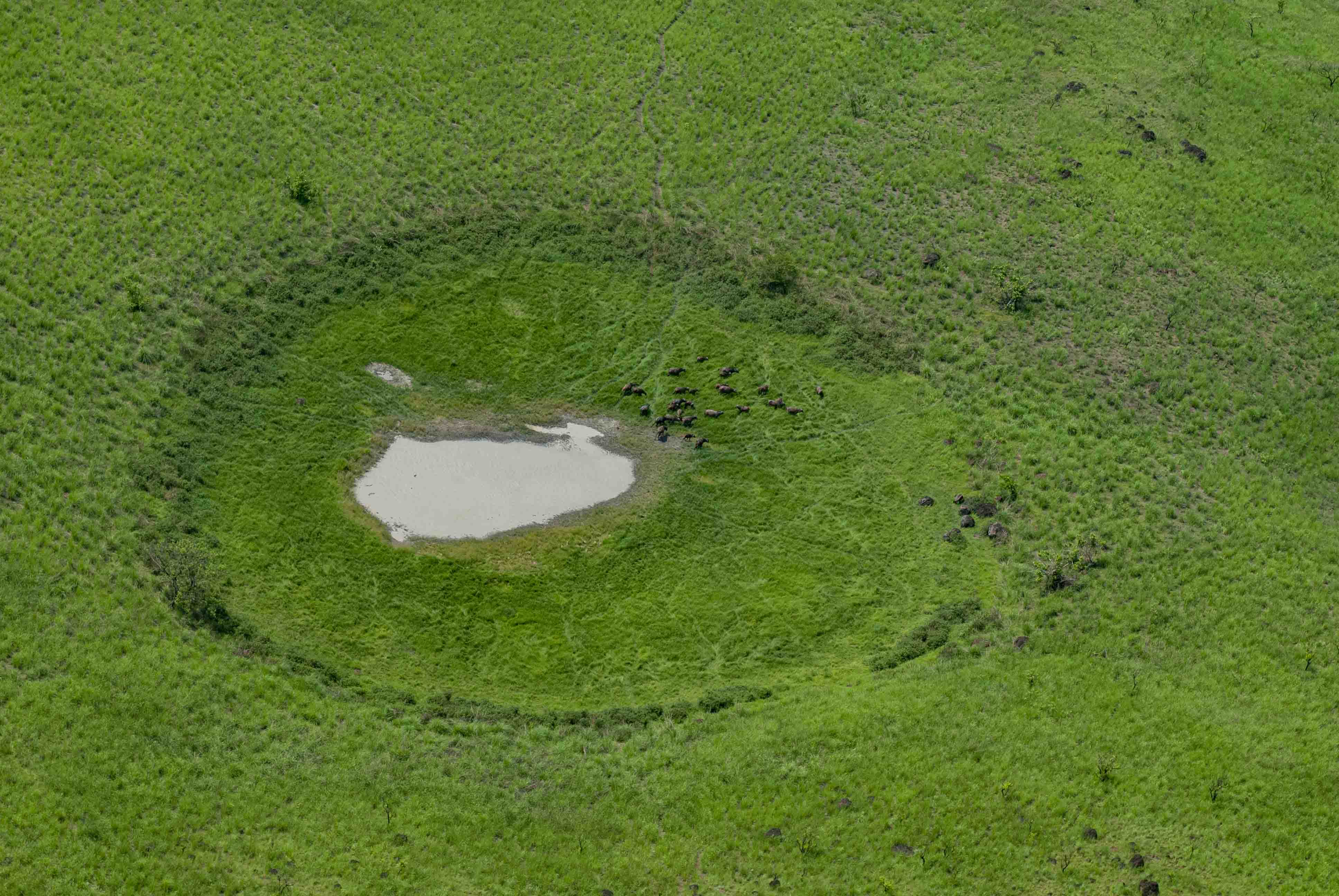 DISCOVER GABON NATIONAL PARK