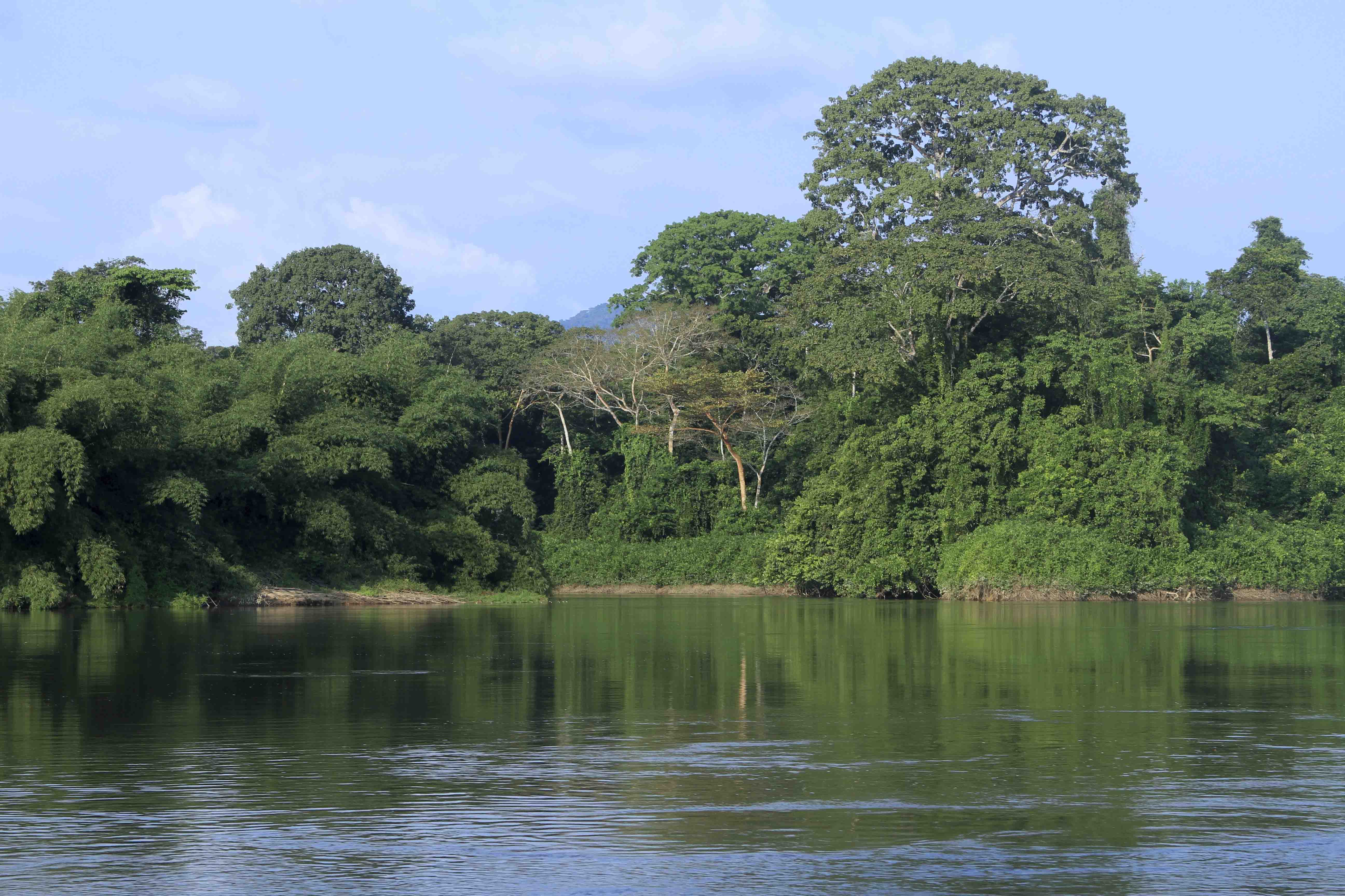 DISCOVER GABON NATIONAL PARK