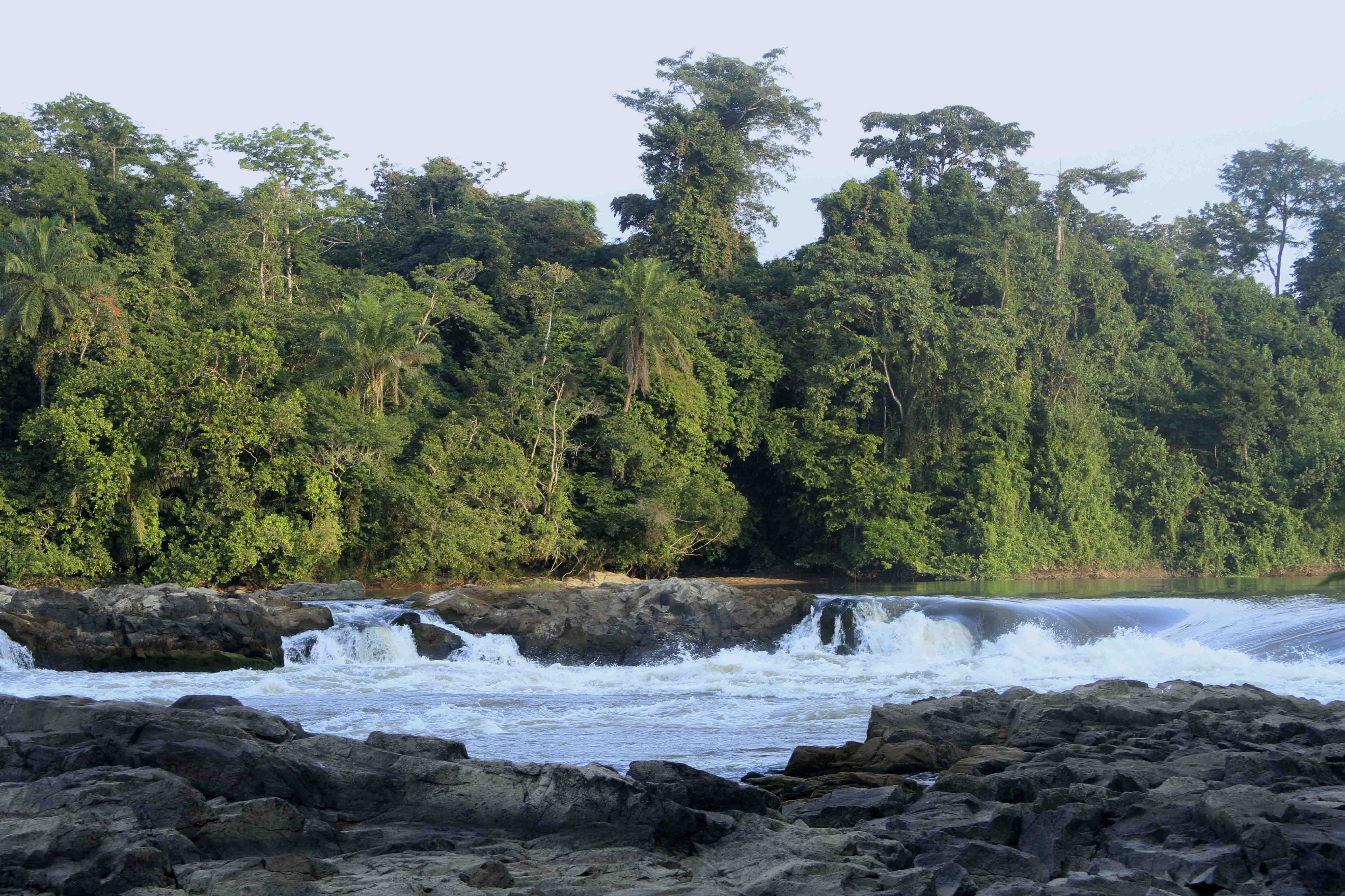 DISCOVER GABON NATIONAL PARK