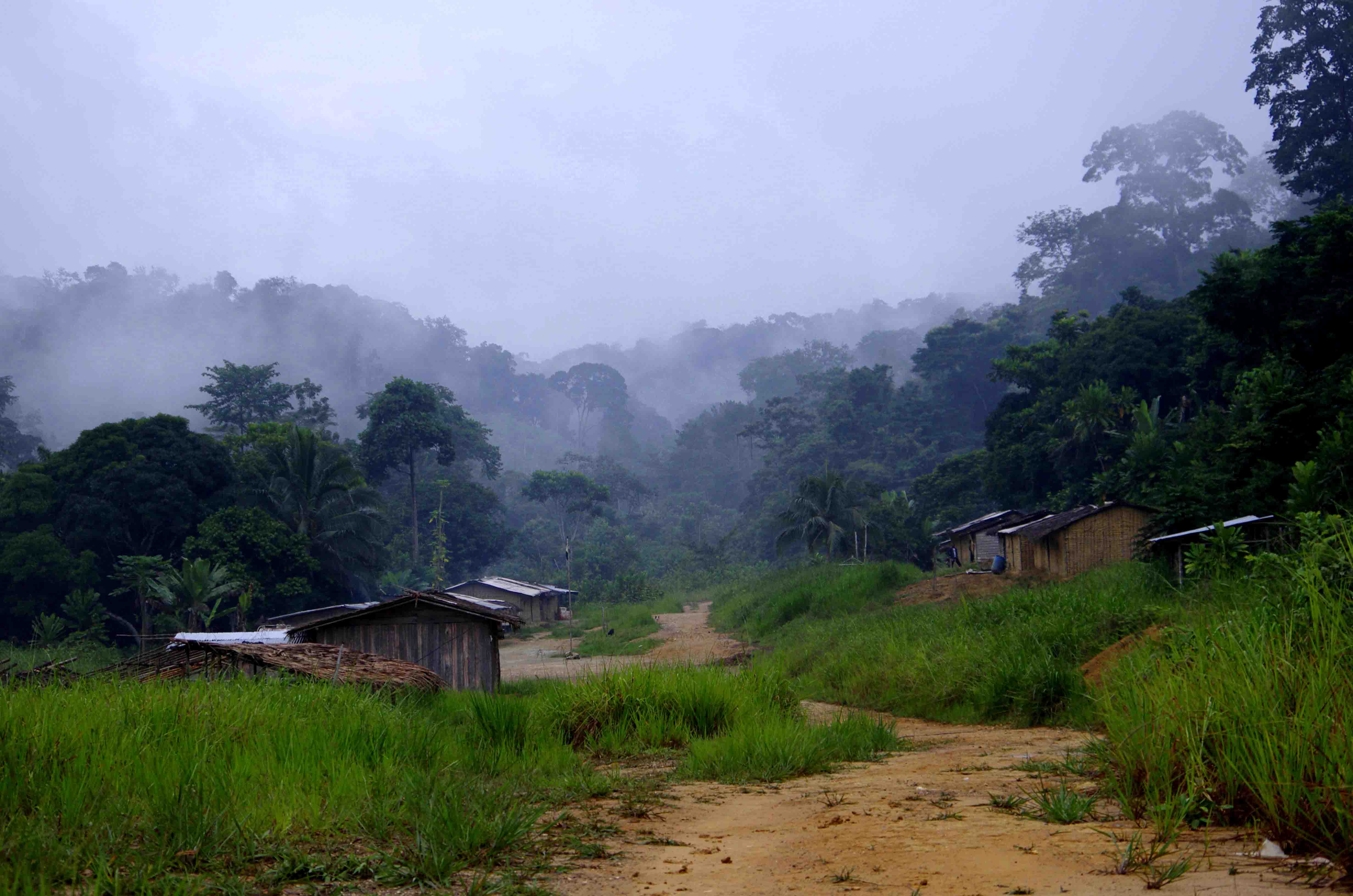 DISCOVER GABON NATIONAL PARK