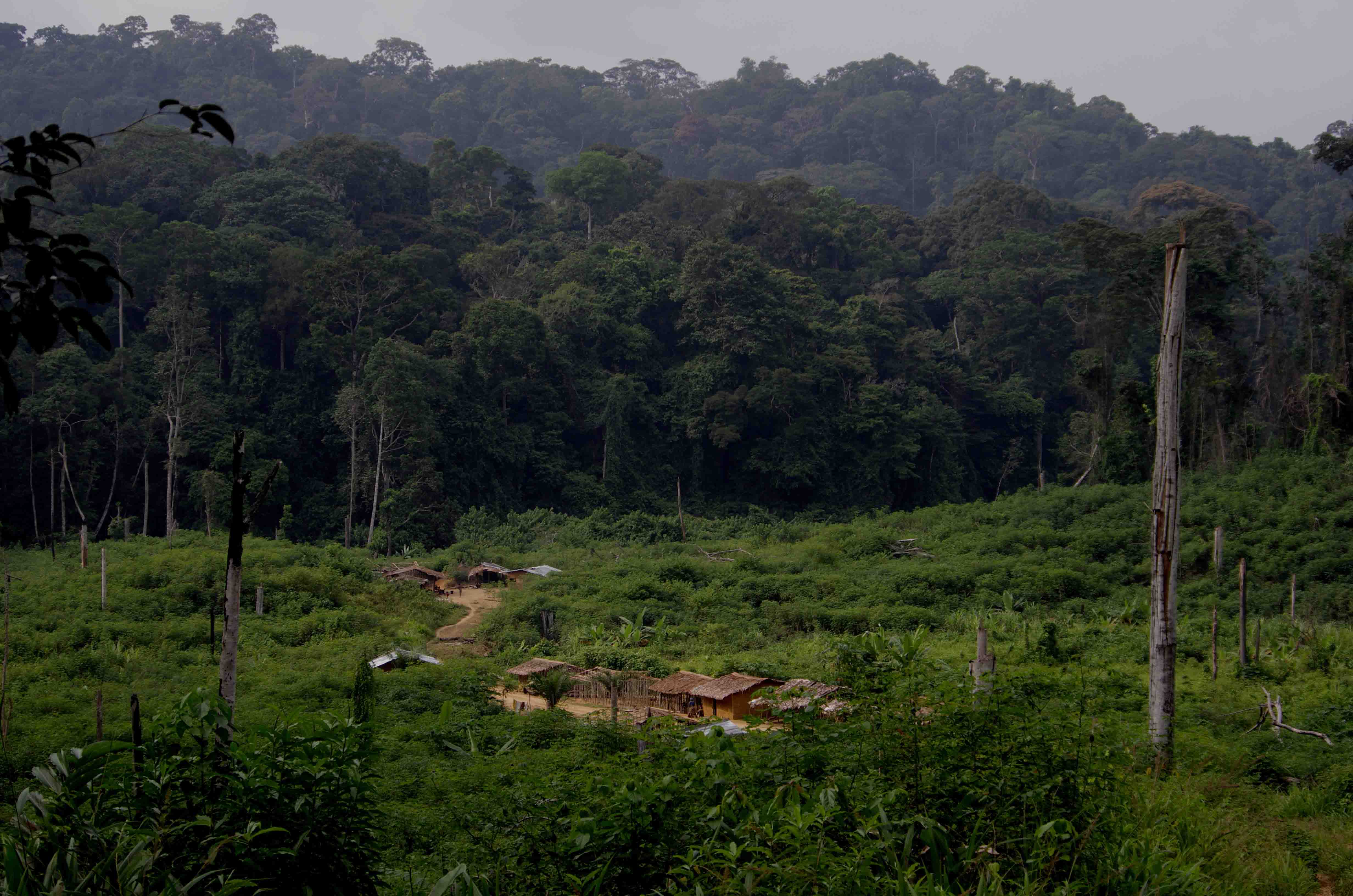 DISCOVER GABON NATIONAL PARK